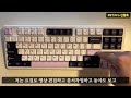 잠자리만큼의 임팩트는 없음 feat 독거미 AULA F87 pro 신월축