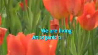 An Organic Poem - June 4, 2007