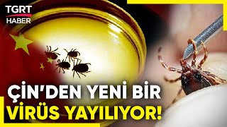 Çin’de Kene Kaynaklı Yeni Bir Virüs Görüldü: Ölümcül Salgın Kapıda mı? - TGRT Haber