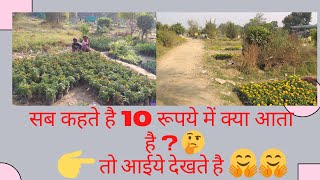 कहाँ से ख़रीदे सस्ते से भी सस्ते पौधे  | Nursery Visit | Cheap to Cheapest ₹ 10 Only cheapest plants