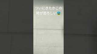 #独身男性 (閲覧注意⚠)ついにきたか恐怖⚠恐ろしいなんだよこれは、何の血なんだよ😱