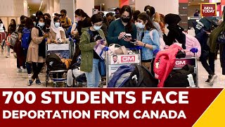 Canada Protest | Deportation Threat To Over 700 Indian Students