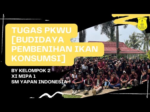 TUGAS PKWU | BUDIDAYA PEMBENIHAN IKAN KONSUMSI [BY KELOMPOK 2, XI MIPA ...