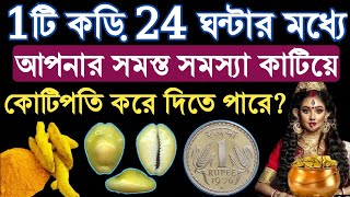 1টি কড়ি 24 ঘন্টার মধ্যে আপনার সমস্ত সমস্যা কাটিয়ে কোটিপতি করে দিতে পারে | কড়ির ব্যবহার