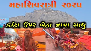 મહાશિવરાત્રી પર્વ ઉપર કાટા વાળા નાગા સાધુ ના દર્શન ||MAHASHIVRATRI 2025 GIRNAR BHAVNATH JUNAGADH