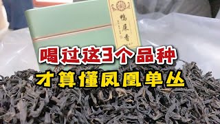 凤凰单丛茶，你只知道鸭屎香吗？了解这3个品种就超过90%的人