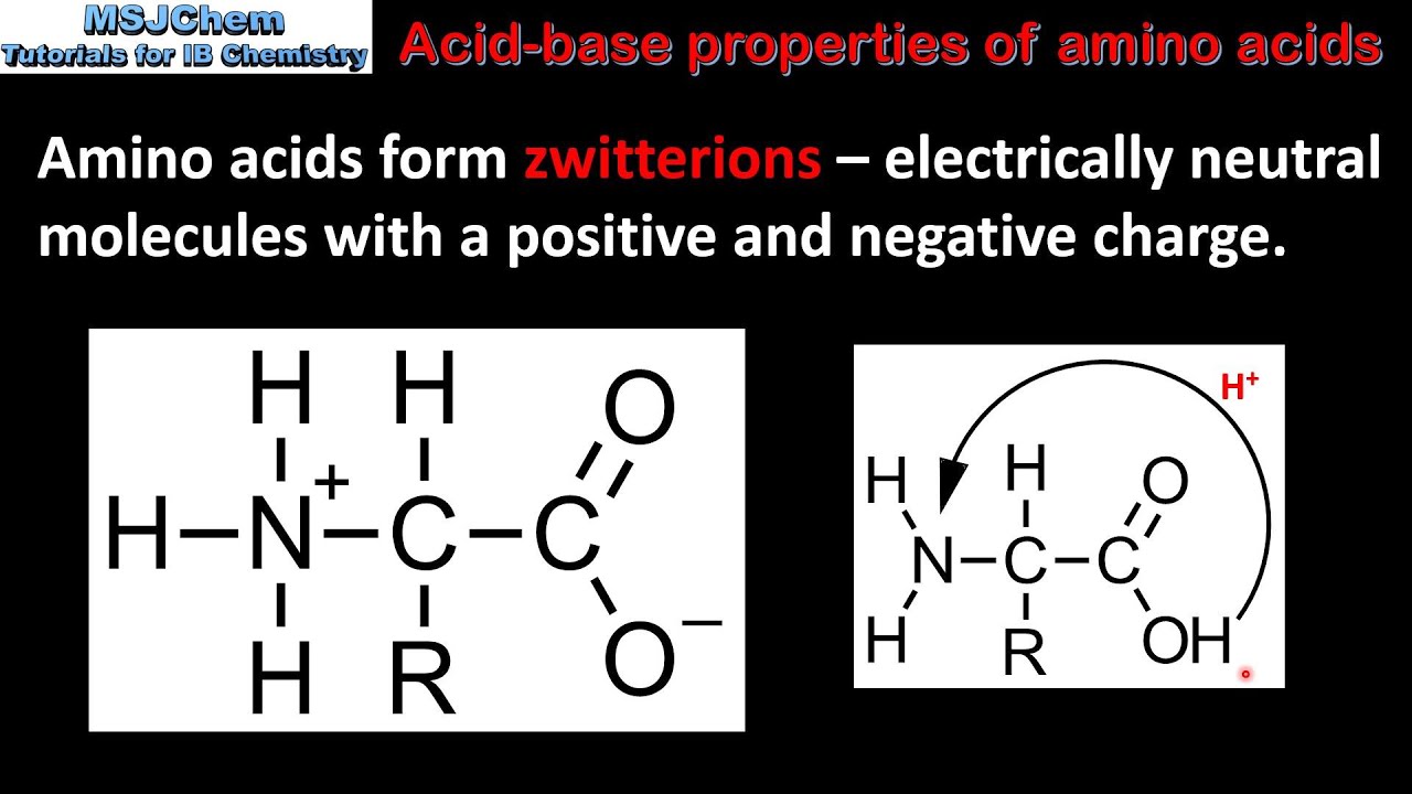 MSJChem Tutorial Videos For IB Chemistry Home, 40% OFF