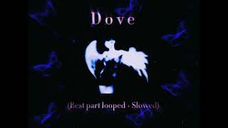 Dove by antihoney (Best part looped + Slowed)