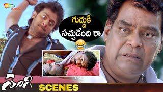Best Comedy Scene | Yogi Telugu Movie Scenes | Prabhas | Nayanthara | Shemaroo Telugu