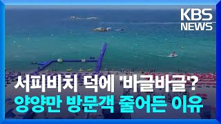 서피비치 덕에 '바글바글'? 양양만 방문객 줄어든 이유 / KBS  2024.08.13.