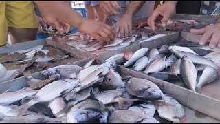 Authentic Sicily: The Fishing Village of Aspra