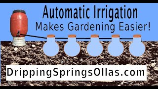 Automatic Irrigation with Dripping Springs OLLAS