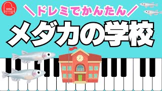 童謡【めだかの学校】初心者めだかの学校は川の中〜🎵〈ピアノ伴奏〉【日本の歌・唱歌】