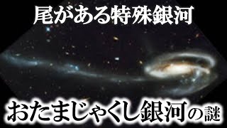 【ゆっくり解説】ガチで眠れなくなるお玉杓子銀河の謎！！