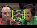 How the Rickson Gracie/Hugo Duarte Fight Went Down - Jean Jacques Machado and Joe Rogan