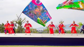 [4K] 楠見おどりっ子隊　2019 みやこ姫よさこい祭り