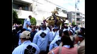 駒込天祖神社・大祭・本社神輿渡御[3]（2014-09-13）