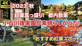 2023 紅葉真っ盛り！小石川後楽園が素晴らしかった！都内散策編