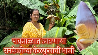 पावसाळ्यात उगवणाऱ्या रानकेळीच्या केळफुलाची भाजी#kokan#ranbhaji#