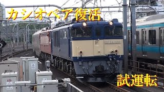 カシオペアクルーズ試運転