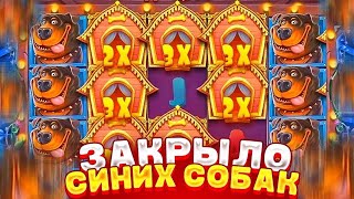 ПОЙМАЛ ДОРОГУЮ БОНУСКУ ЗА 1.000.000Р И ВЫИГРАЛ *.***.***Р l ЗАНОС THE DOG HOUSE