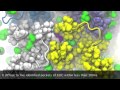 MD simulation of the Ion Channel GLIC. Bromoform Binding.