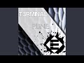 P.U.N.E. (Original Mix)