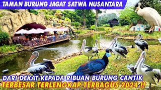 INFO TMII PALING BARU | TAMAN BURUNG JAGAT SATWA NUSANTARA DI TMII PALING BARU