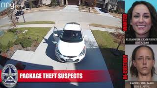 Package Theft Suspects