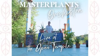 Plant Music Concert - Live in Damanhur - Open Temple