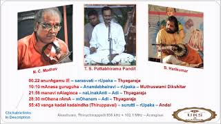 T  S  Pattabhirama Pandit | Carnatic music concert | anurAgamu, mOhana rAmA, vanga kadal kadaindha