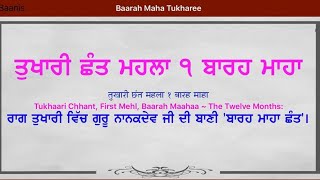 Tukhaari Chhant,  Baarah Maahaa |  ਰਾਗ ਤੁਖਾਰੀ # ਗੁਰੂ ਨਾਨਕਦੇਵ ਜੀ ਦੀ ਬਾਣੀ #ਬਾਰਹ ਮਾਹਾ ਛੰਤ'। Gurbani |