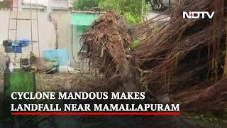 Cyclone Mandous Uproots Trees, Leaves Chennai Roads Waterlogged
