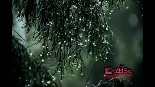 കാതിൽ തേൻ മഴയായ്......😍                      whatsapp status