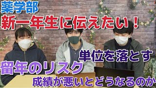 [留年警告❗️]薬学部新一年生に伝えたい❗️ / Light Bulb