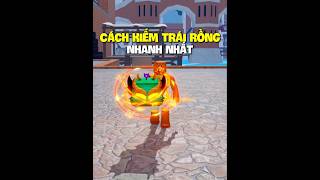 Cách Kiếm Trái Rồng Nhanh Nhất!!! #dauhugaming #bloxfruits #dauhudeptrai #Tetmetit