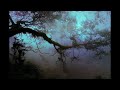 Disfigrium - Meraki