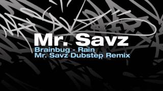 Brainbug - Rain ( Mr. Savz Dubstep Remix )