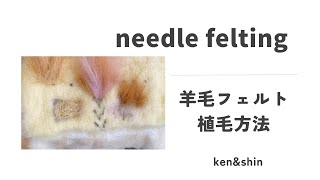 羊毛フェルトの植毛パターン説明動画　Wool Felt Planting Pattern Explanatory Video