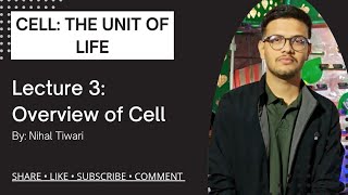 Cell: The Unite of Life | Overview of cell