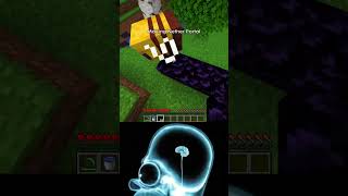 -6903 IQ vs 6969 IQ minecraft (World's Smallest Violin)