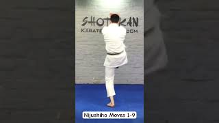 Shotokan Kata Nijushiho moves 1 to 9. #shorts #shotokan #nijushiho #shotokankaratekata