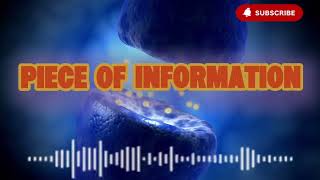 5 Proven Ways to Improve Your Memory | Dr. Sid Warrier
