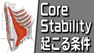 Corestabilityを構成する筋が活動する条件【理学療法士×機能解剖学】