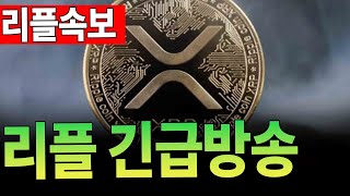 [리플속보] 리플 긴급방송 [XRP,리플,ETF,스테이블코인] #리플 #XRP