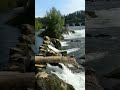 Switzerland🇨🇭 Schaffhausen At the largest waterfall in Europa a beautiful waterfall.🌊