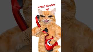 घरवालों को यकीन नहीं## hindi fuuny comedy video##