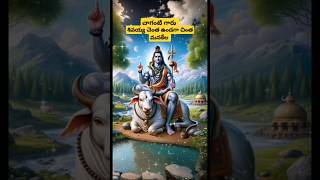 #శివయ్య అండగా ఉంటే ఎవరేమి చేయలేరు #om namah shivaya 🙏🙏#chaganti #pravachanalu #shorts #subscribe