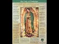 Our Lady of Guadalupe - Michael O'Neill The Miracle Hunter (24th May 2022)