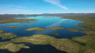 Hardangervidda 1 2022